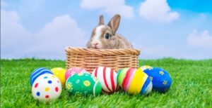 La historia del conejo de Pascua y la recolección de huevos