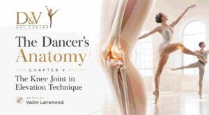 D&V art center Blog, The Dancer's Anatomy - Chapter V